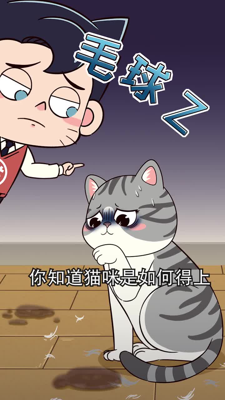 猫咪总吐毛球原来是这个原因造成的家长们重视起来哟