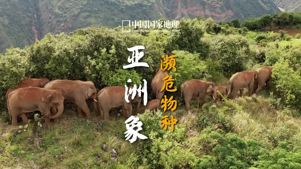 每年的8月12日是