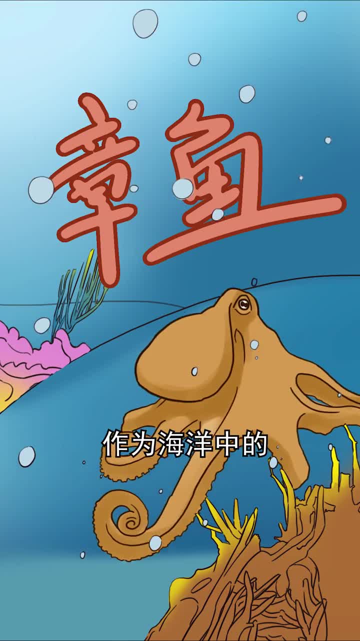 据说章鱼是无脊椎动物中最聪明的物种艾玛章鱼小丸子太香了