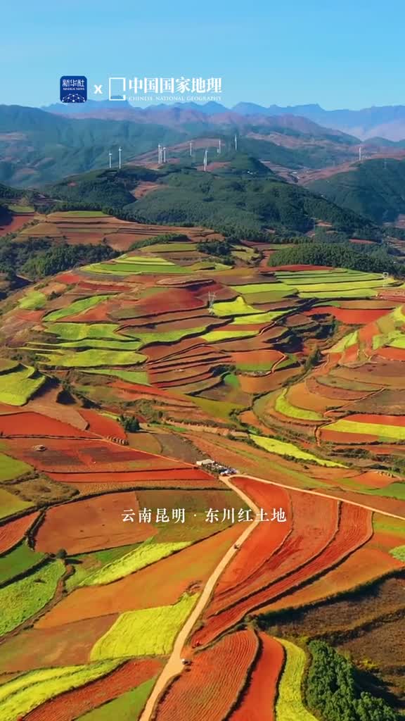 航拍红土地令人惊艳红壤为底作物执笔人与自然的配合勾勒出优美灵动的线条不同作物的色块绘制成一幅多彩的田园画卷这里是云南昆明的东川红土地