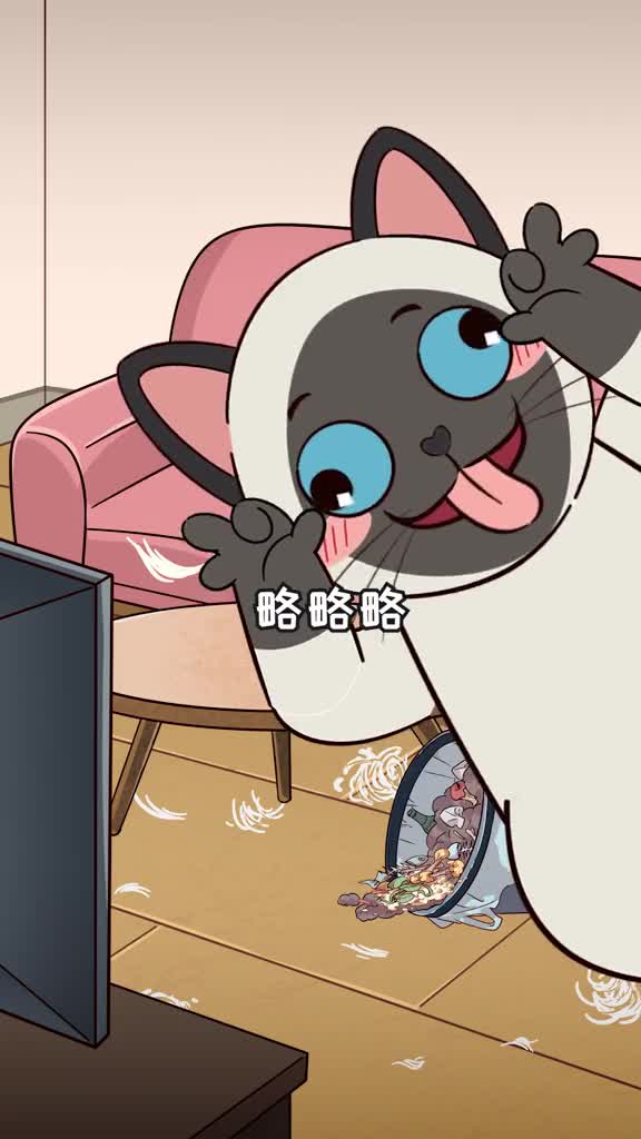 猫咪突然满屋疯跑是因为玩耍不不不是这几点原因