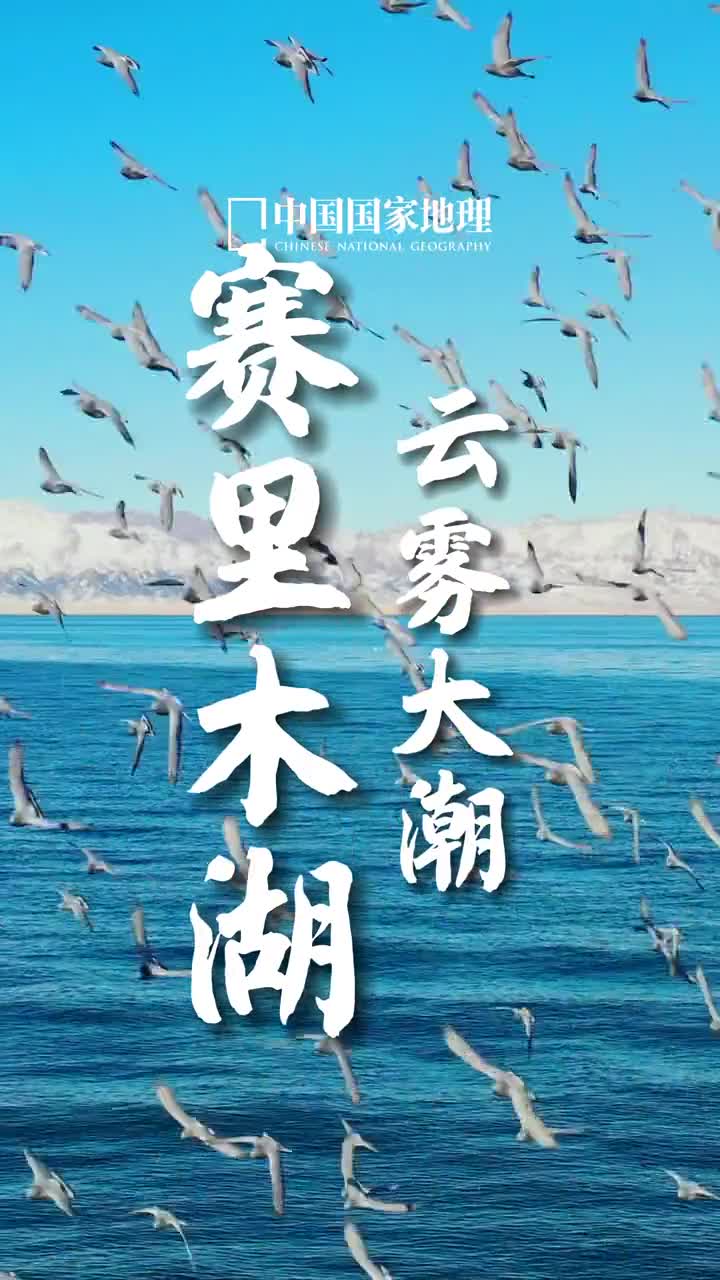 这个冬天见一面吧