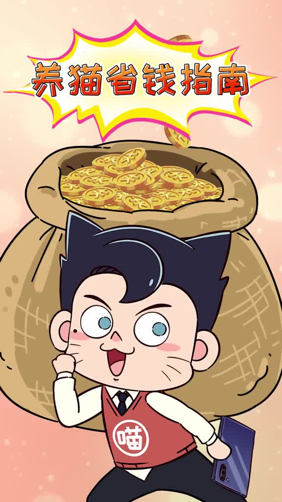 养猫省钱指南月薪三五千也能让你家猫吃的好过的精致