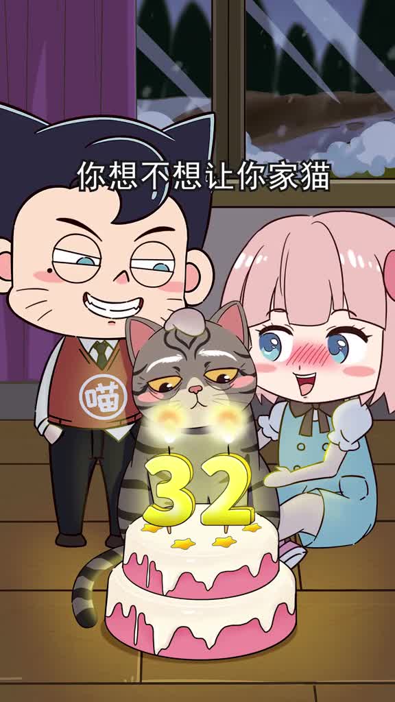 让猫咪活到20岁的秘诀是帮主子避开这3个害猫元凶