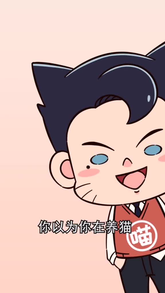 你以为你在养猫出现这4种行为说明猫咪在养你