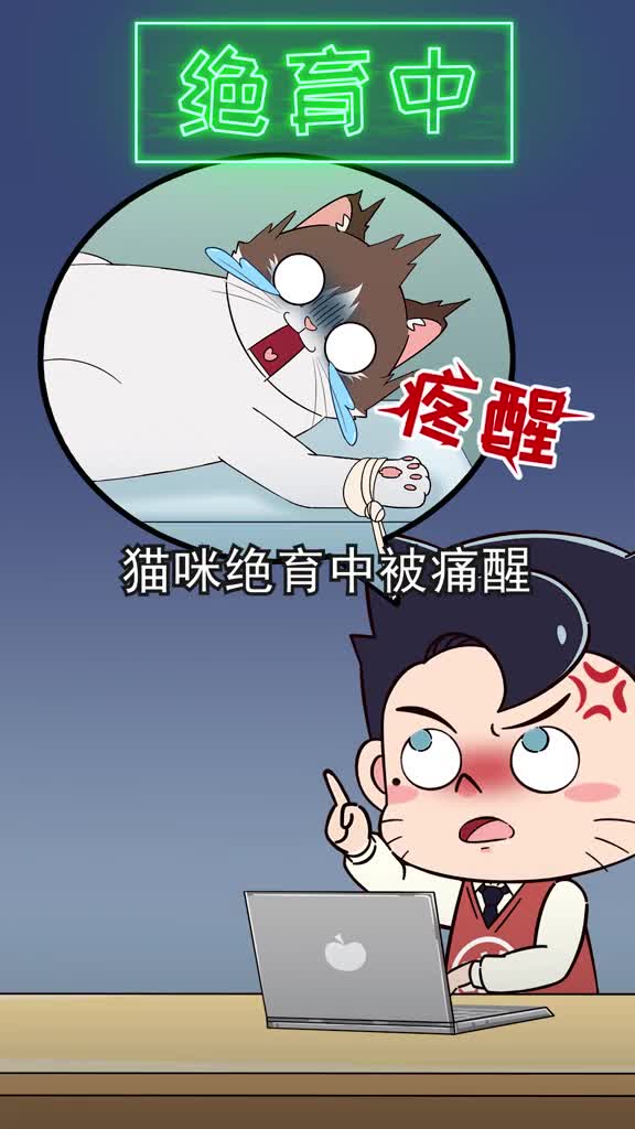 猫咪绝育中被痛醒甚至去了喵星今天扒一扒差劲医院的黑幕