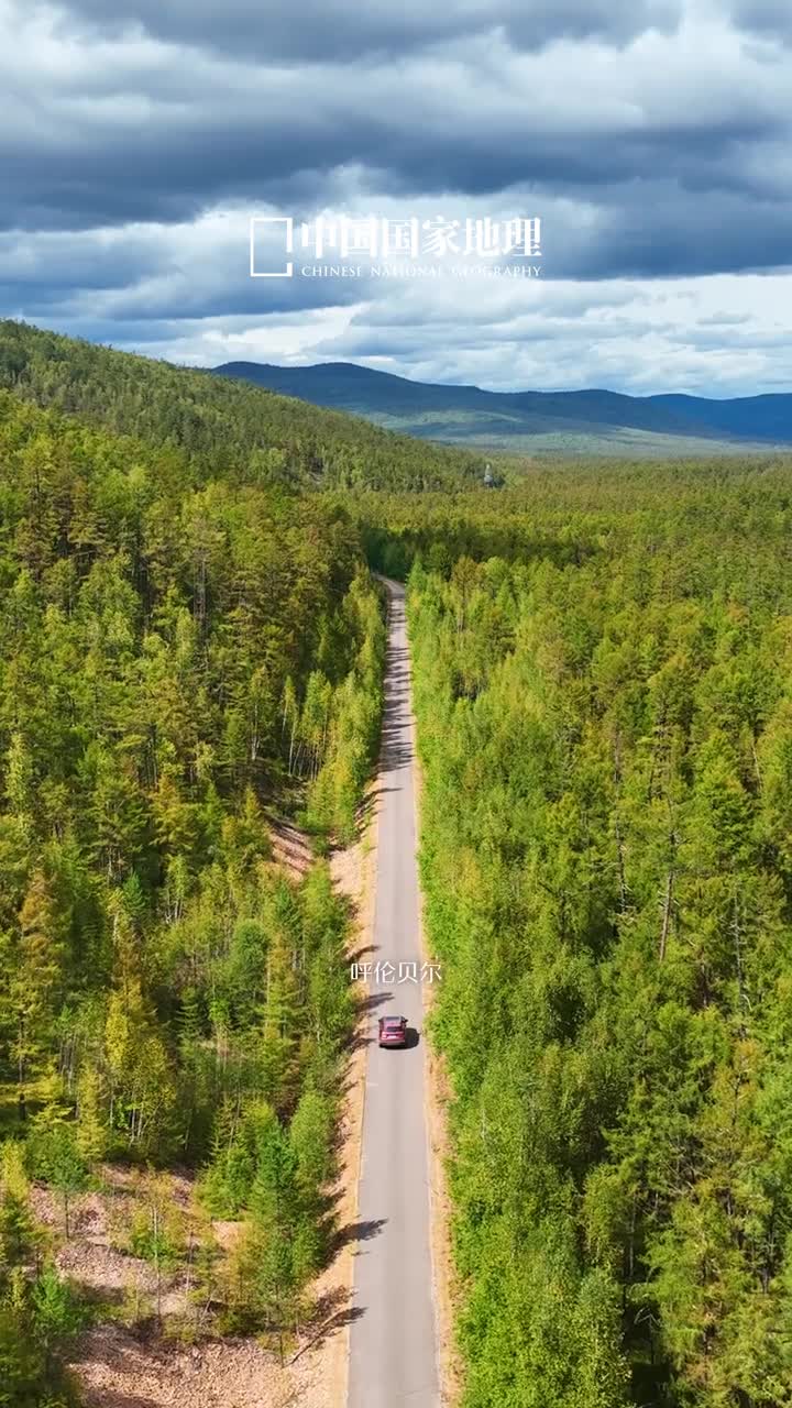 踏上331国道开启秋日赏林之旅
