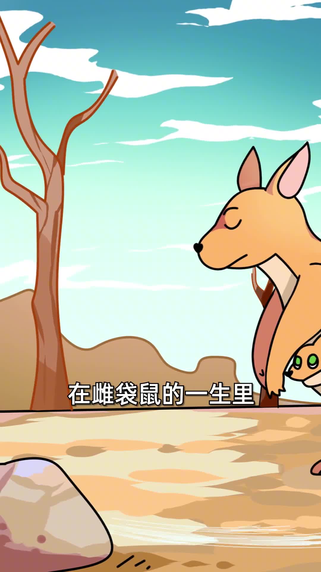 第80集数学题袋鼠两口子带着一只小袋鼠散步总共有几只袋鼠