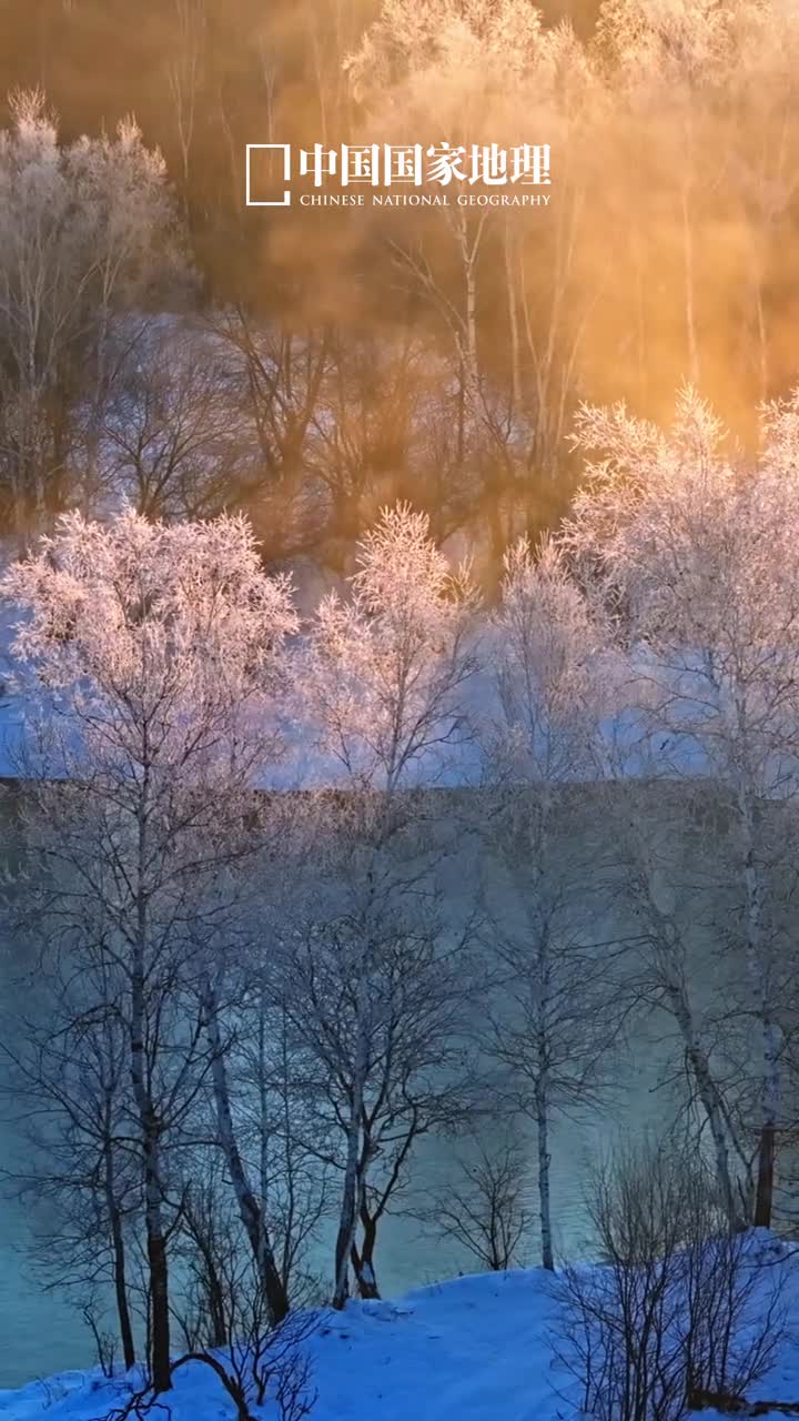 黑龙江不语只是一味下雪在黑龙江黑河逊克县雾凇沆砀上下一白的景色满足了人们对冰雪童话的美好想象天地脱胎换骨融成白茫茫一片树枝随风摇摆荡出诗情水汽凝华氤氲飘渺更添静谧之美
