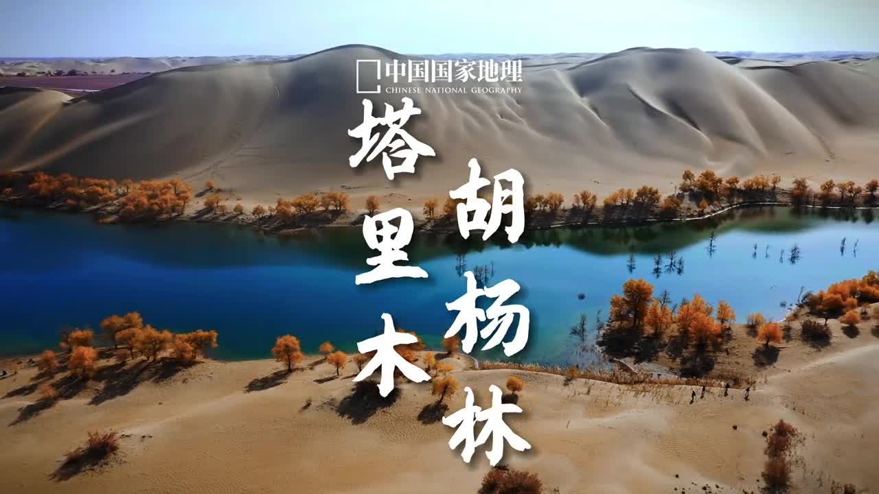 极目金黄千里秀自成一景阅沧桑