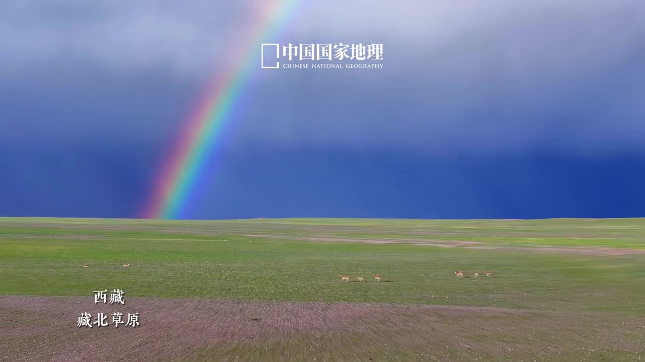 揭开无人区的神秘面纱在我国的新疆青海西藏分布着神秘莫测的无人区这些区域虽然人迹罕至但特殊的自然环境也孕育了独特的气候罕见的生态系统和震撼的自然景观无人之境荒凉孤寂却也保留了大自然最原始狂野的壮美