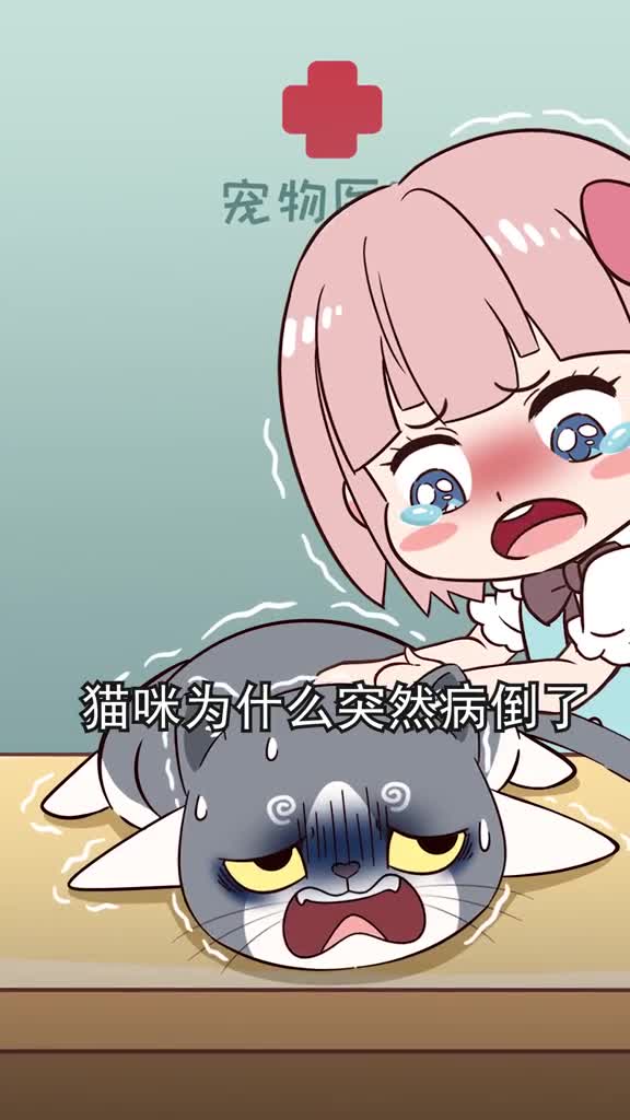 猫咪在隐藏病痛的5个细节铲屎官一定要注意早发现早预防哦