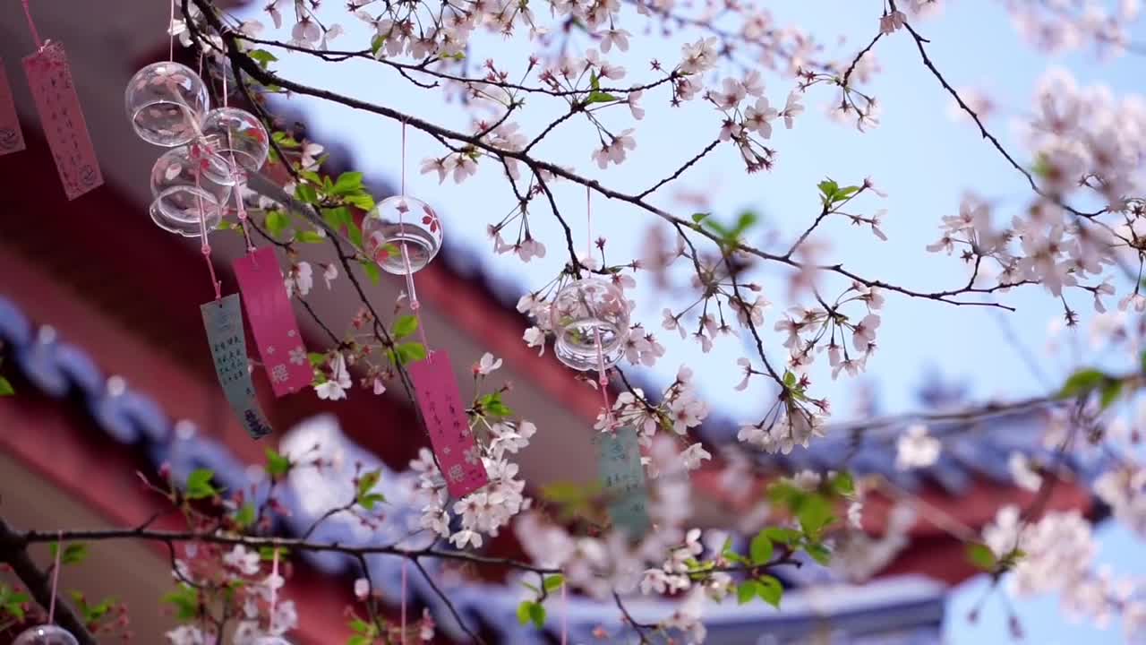 每年的6月5日是