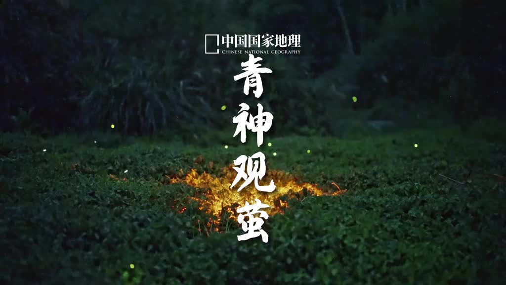 每个人心中都有一片萤火之森闪烁的萤火虫轻盈地飞舞穿梭在夜幕之中仿佛是山林乡间的精灵诉说着属于它们的秘密这里是四川省眉山市的青神县是苏东坡与发妻王弗相识相恋的地方十年生死两茫茫不思量自难忘时过境迁爱意长存