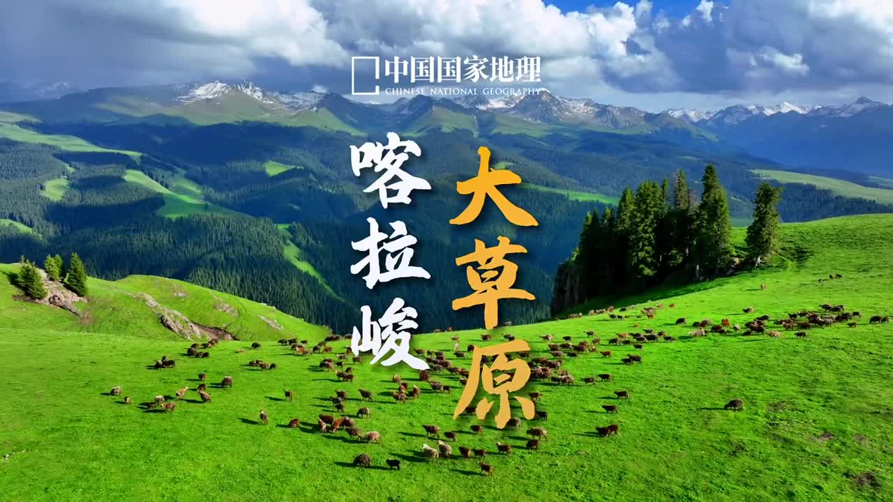 知道大家都在做出行攻略推荐一个好地方正值当下那里有圣洁的雪山茂密的森林无垠的草原险峻的峡谷还有成群的大尾巴羊