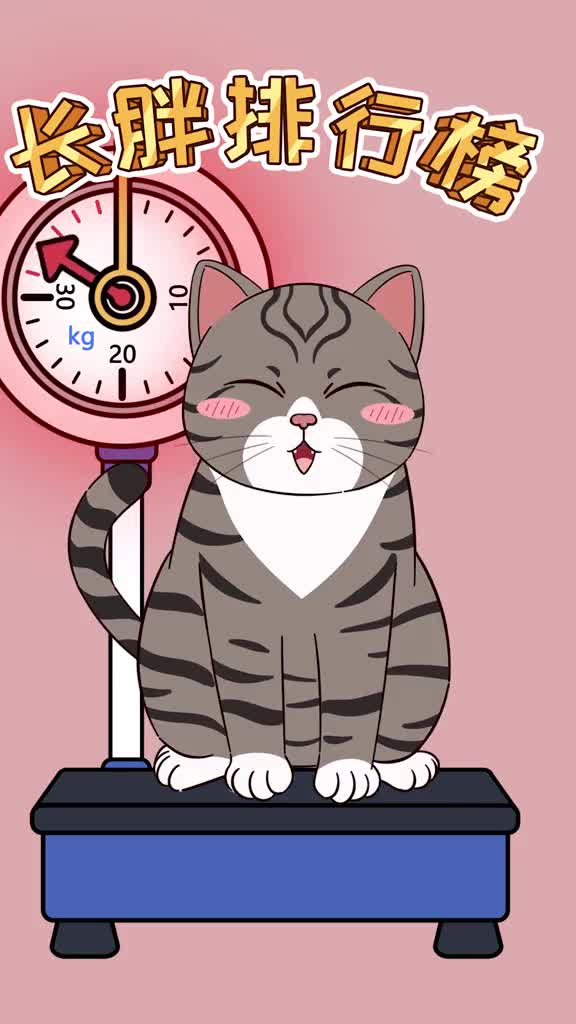 猫咪的长胖排行榜第一名居然不是橘猫你猜对了吗