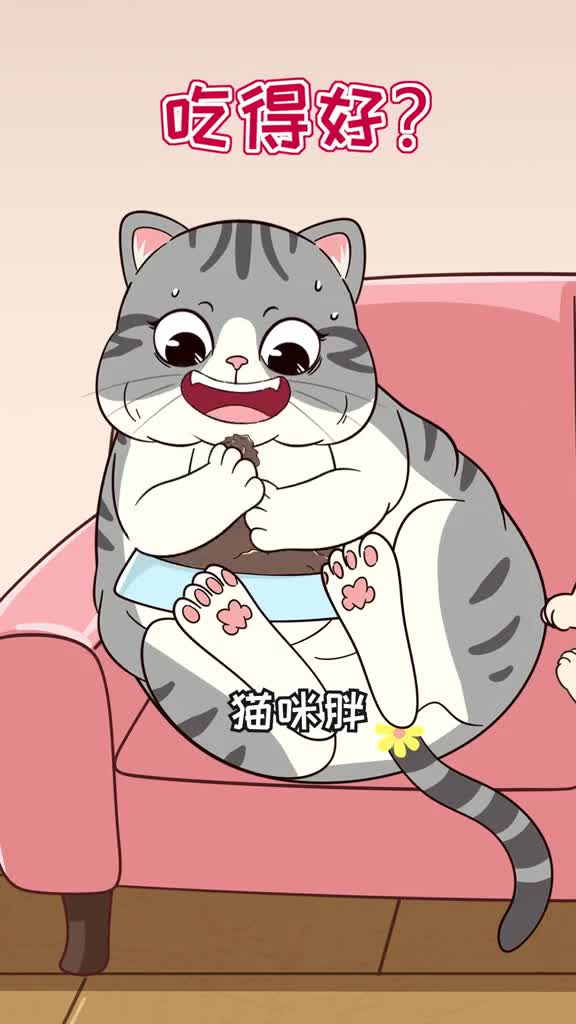 猫咪胖瘦不代表吃的好坏想要健康长肉不虚胖日常主粮要选对