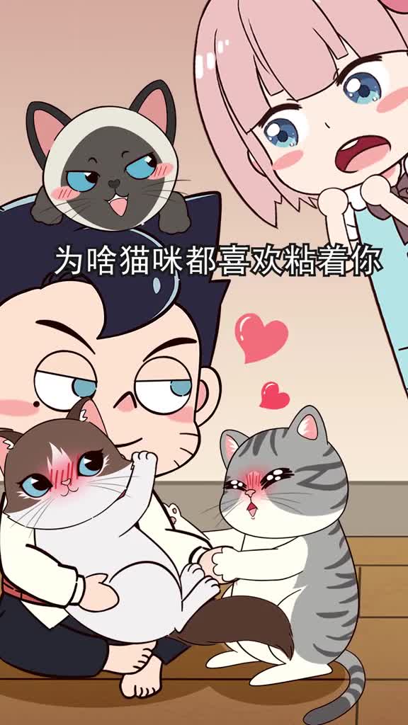 猫一见你就躲想成为吸猫体质的话你得学会这几点