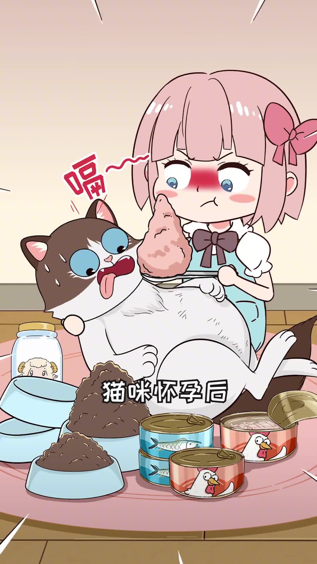 如何照顾怀孕猫咪千万别玩命喂喂对了猫妈妈更安全