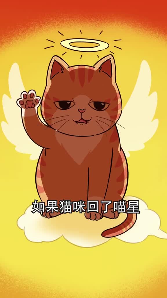 如果猫咪去了喵星怎么送它走最后一程这4种方法希望你晚点用到