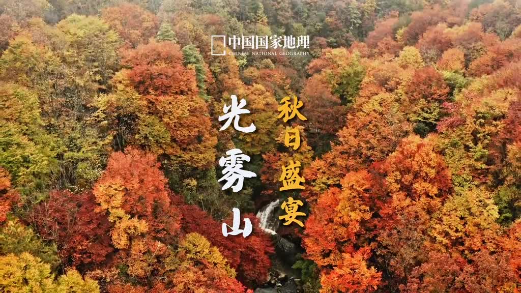 自古逢秋悲寂寥我言秋日胜春朝秋天的