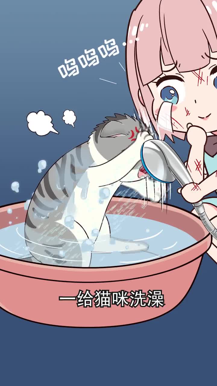 一给猫咪洗澡就各种抓咬哭嚎那是你没掌握正确姿势