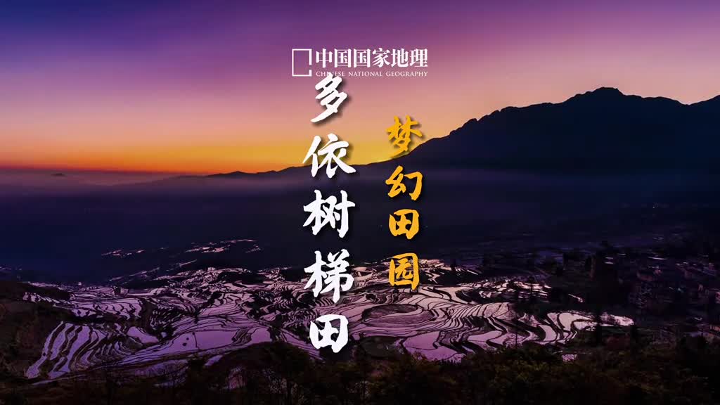 有山有水有雾有田这是梦中的家园