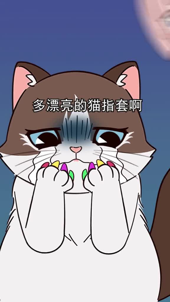 这4种网红猫用品可把猫咪害惨了别再用啦