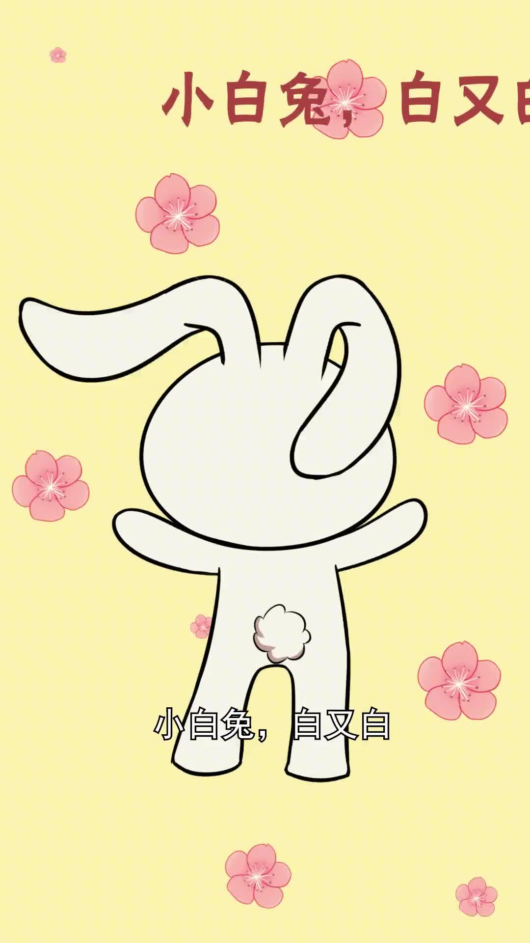 小兔子冷知识你了解了吗