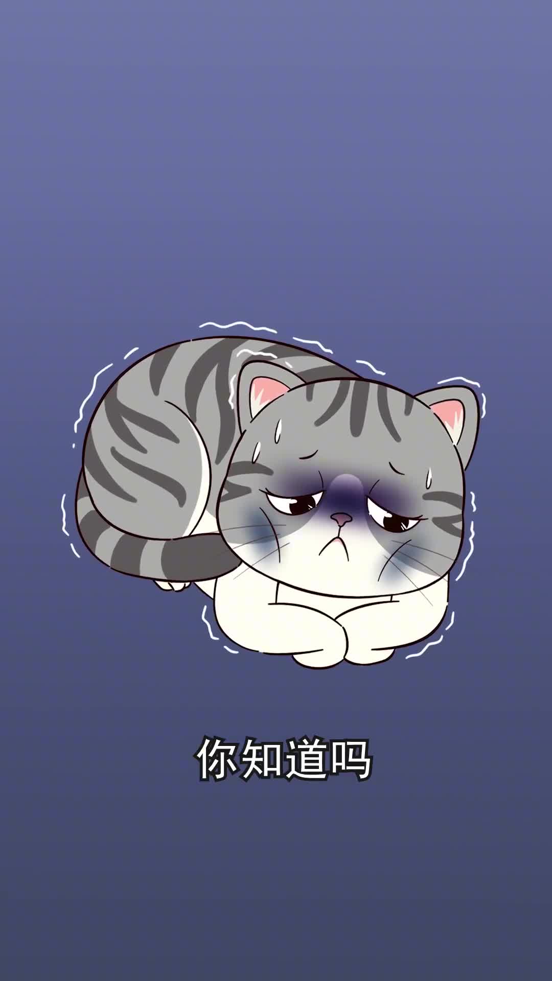 会危害猫咪健康的几种行为大多人都忽视了你有没做过呢