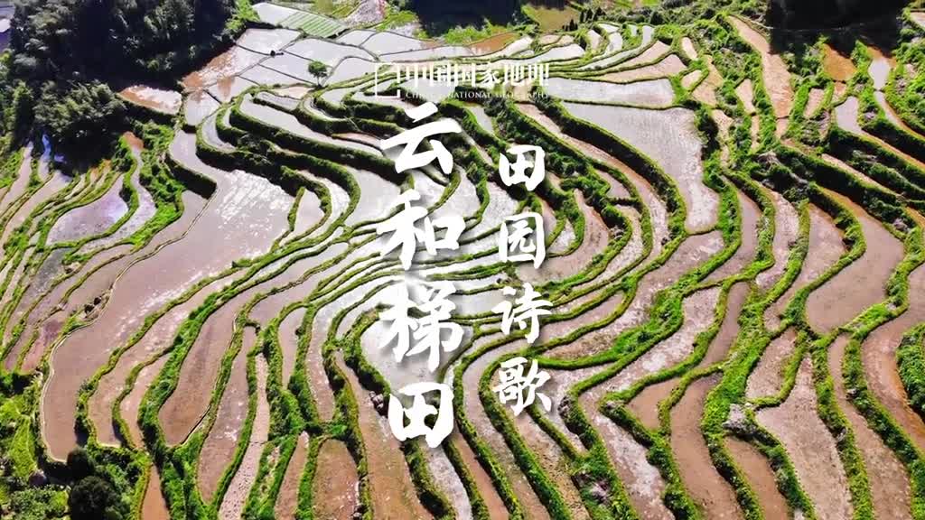 粼粼碧浪上远山在浙西南的丘陵有泥土的地方就有梯田位于丽水市的云和梯田是华东地区极具代表性的梯田群经过1000多年的垦殖云和梯田以云和县崇头镇为中心跨越高山丘陵如波浪一样涌向各个角落面积庞大也清新柔美如诗如画