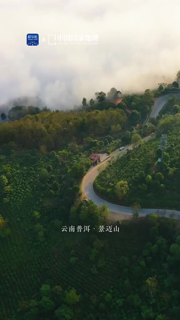 让世界瞩目的云南茶山有多美中国普洱景迈山古茶林文化景观正式被列入世界遗产名录它是保存完整内涵丰富的人工栽培古茶林典型代表千百年来在大自然的赐予和古茶园的护佑下景迈山里的村民安静祥和地过着与茶不可分割的生活