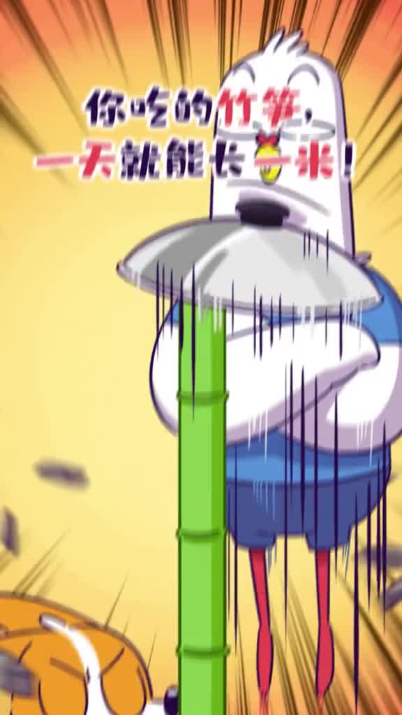 你吃的竹笋一天就能长一米