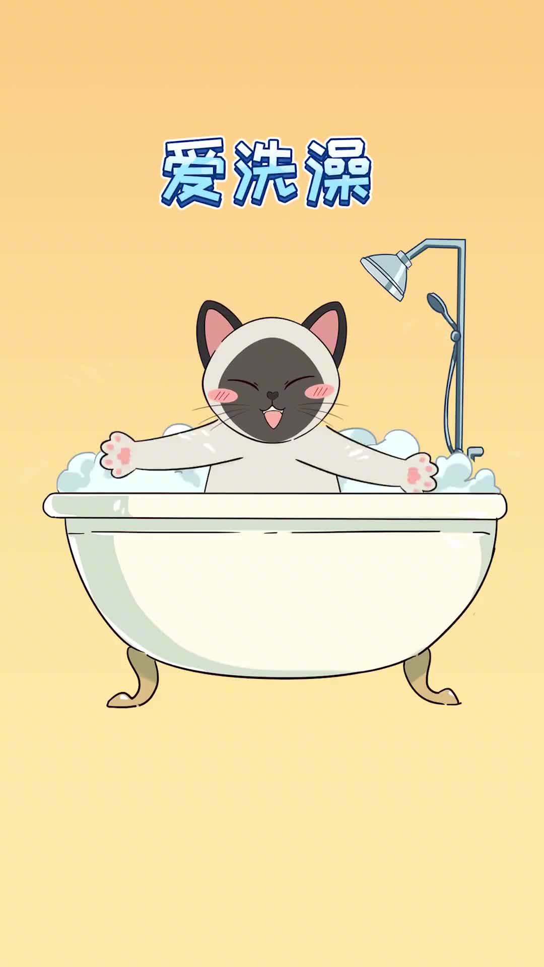 想让猫咪乖乖洗澡喜欢被抱抱这些脱敏训练要从小做起