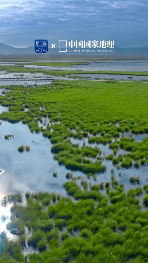 水丰草茂湿地如诗万里黄河在这里积蓄着远行的力量若尔盖湿地中国国家地理评选的中国最美的六大沼泽湿地第一名它是青藏高原与黄河共同创造的神奇广阔天地间黑颈鹤等众多野生动物在此自由地繁衍生息此外这里还见证了红军长征过草地的坚韧与伟大自然风光的极致生态秘境的诗意文化历史的璀璨值得让世界看见若尔盖