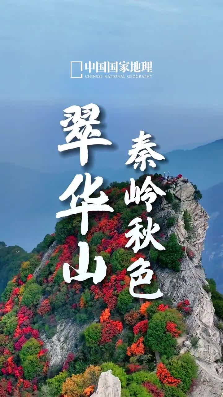 秦岭的秋天是一个色彩斑斓的世界眼见之处尽是诗情画意的绝色秋景