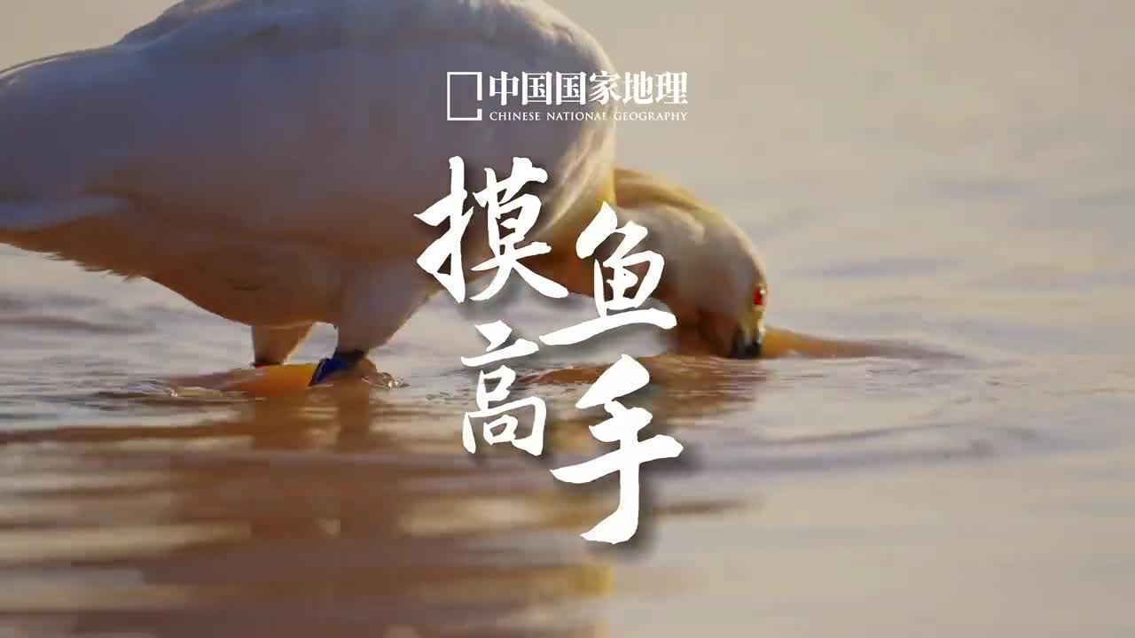 被戳中的请自觉举手