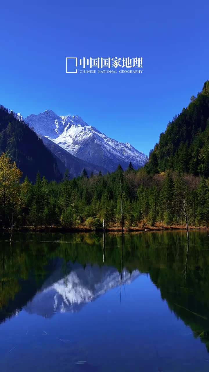 早安愿君安暖勿忘添衣今天是2024年10月24日甲辰年九月廿二星期四岁月忽晚人间已秋在渐冷的秋天送你最温暖的问候早安愿君安暖勿忘添衣