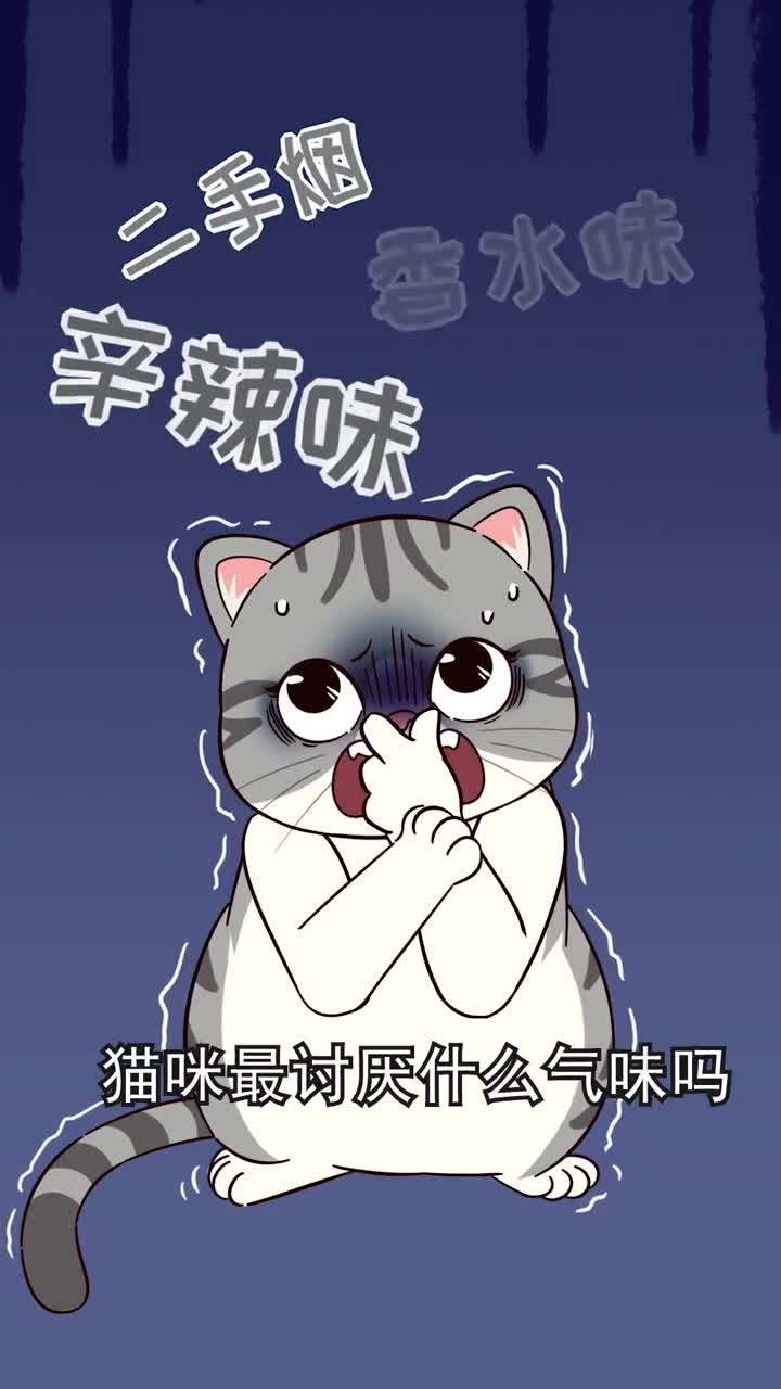 这几种气味猫咪非常讨厌不仅伤害猫而且对你由爱生恨尤其是最后一种