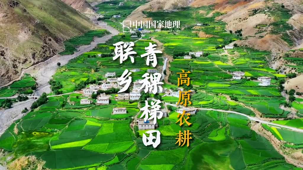 西藏也有梯田还是青稞梯田你见过吗联乡梯田位于西藏自治区日喀则市桑珠孜区藏语中日喀则意为最好的庄园日喀则地区粮食作物产量占了整个西藏的半壁江山所以素有西藏粮仓之称发源于诺金康桑雪山的年楚河孕育了此地的丰饶其中江孜康马白朗桑珠孜三县一区所在的年楚河谷是粮仓最为集中的地带