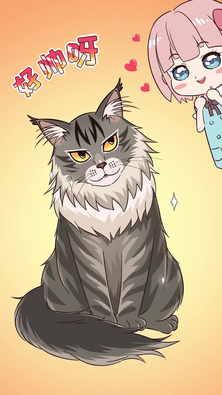 缅因猫适合新手养吗先看看养缅因是什么体验吧