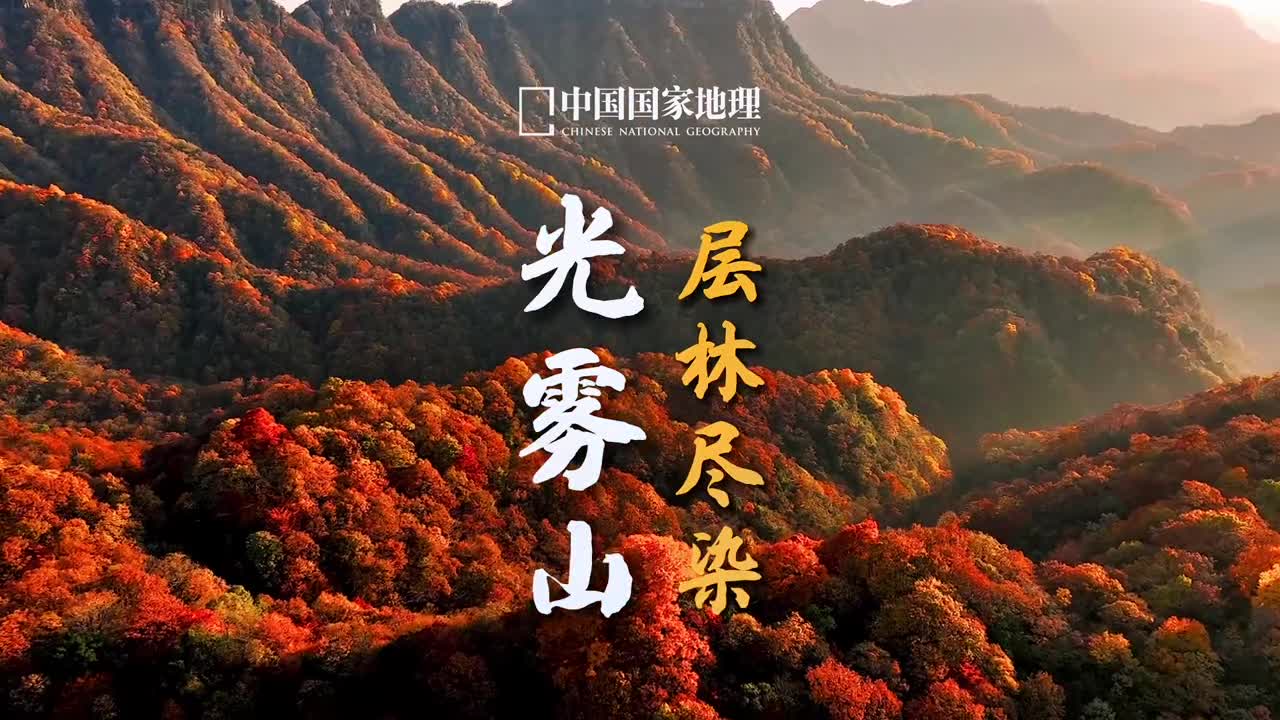 锦织万顷染千山秋雾缥缈结长空这几天的