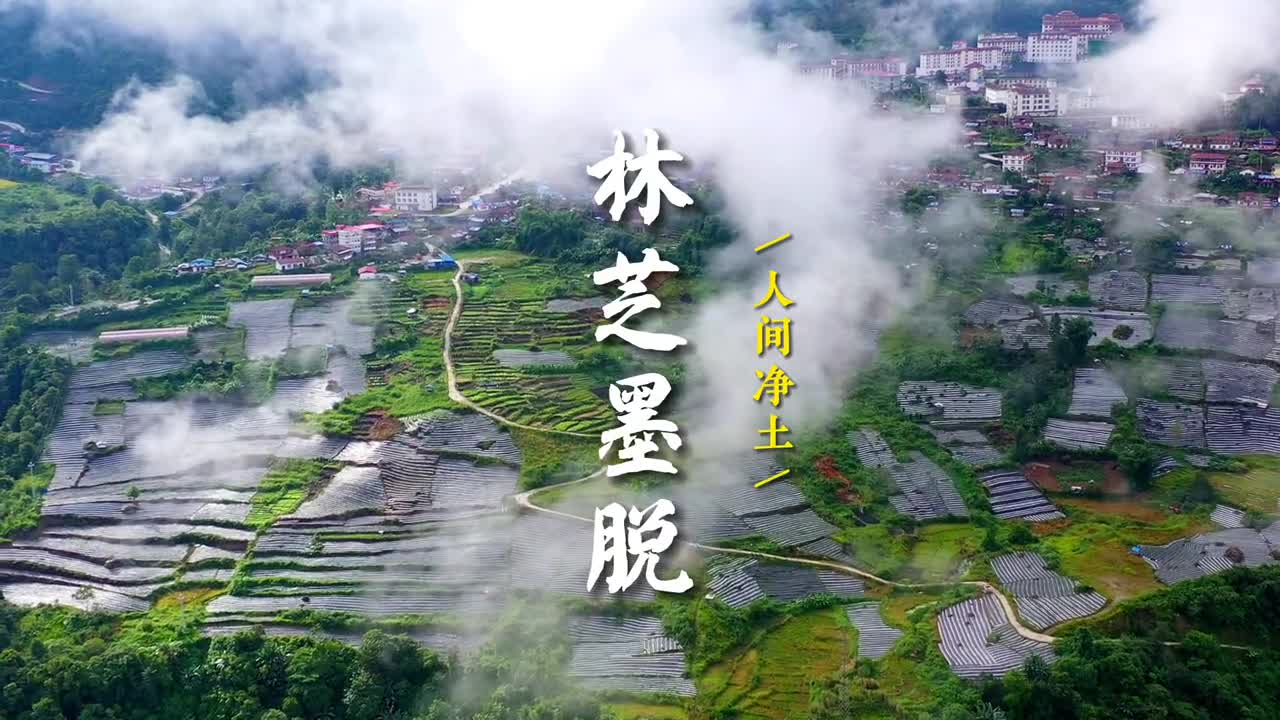 西藏林芝的墨脱县是全国最后一个通公路的县城