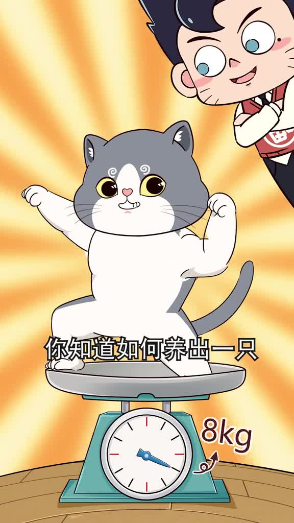 想要养出一只健康又结实的肥猫关键看这两点不然很可能只是虚胖