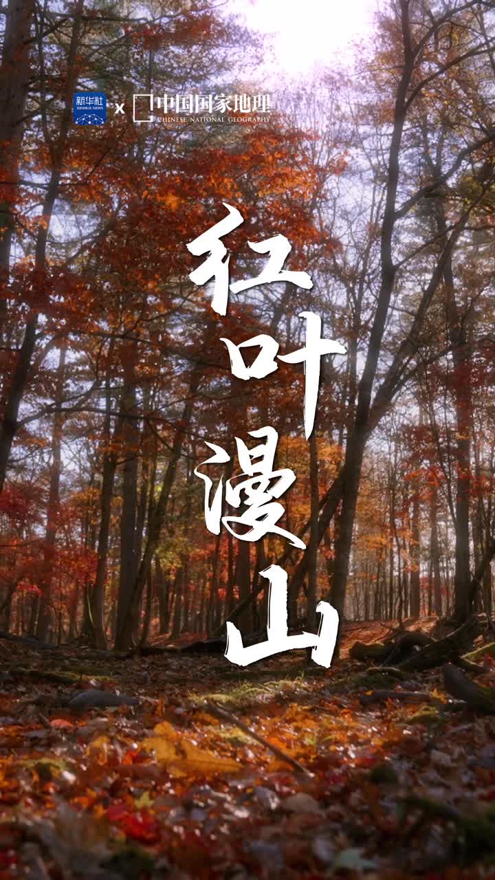 带你走进秋日童话世界秋天是色彩明艳的童话世界万物都沉浸在秋的馈赠中享受着此间美妙染红的落叶在林隙秋光中翩翩起舞林间小鹿踏着红叶悠闲散步顺便咀嚼一口秋的滋味令人好生羡慕