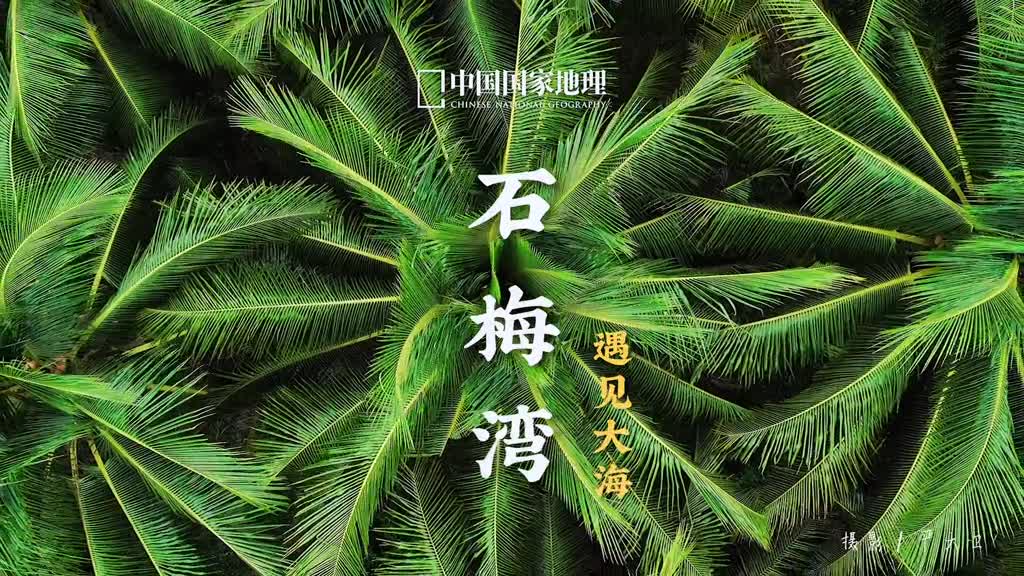 此刻只想吹吹海风听听海浪