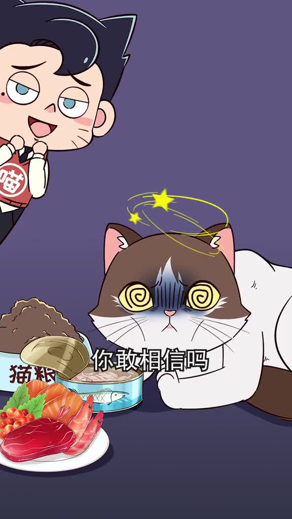 你敢相信猫咪竟然会把自己饿死快用这几招纠正挑嘴的猫