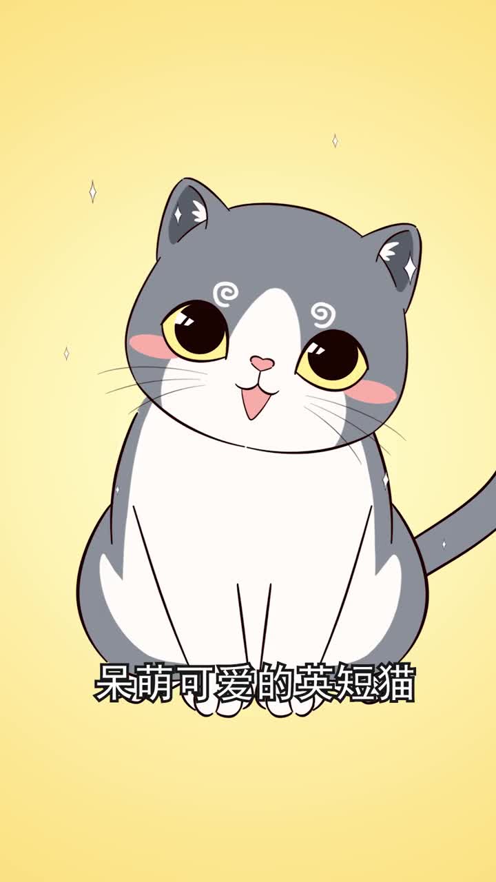 英短猫居然差点灭绝了你知道它是怎么诞生的吗