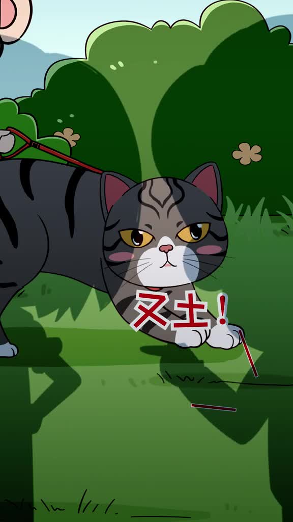 中华狸花猫不如品种猫被CFA除名切养过之后才知道它有多优秀