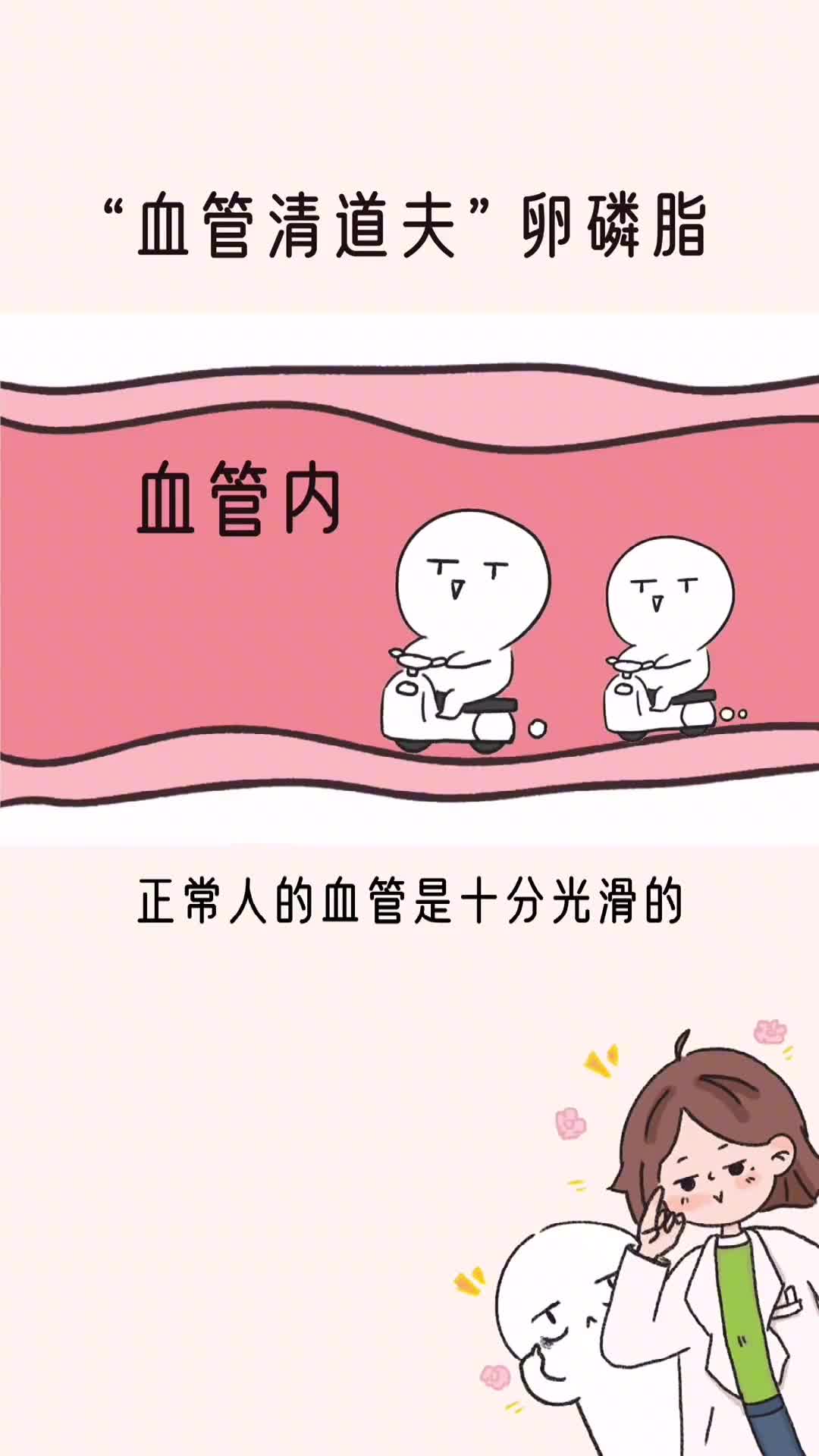血管清道夫卵磷脂是怎么工作的